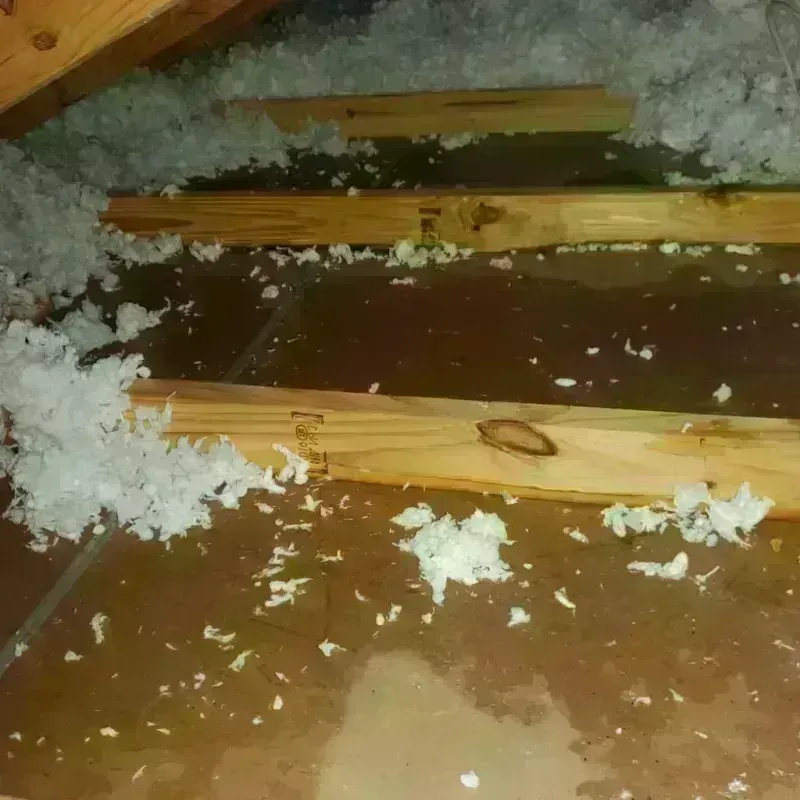 Attic Water Damage in Highland Lakes, AL