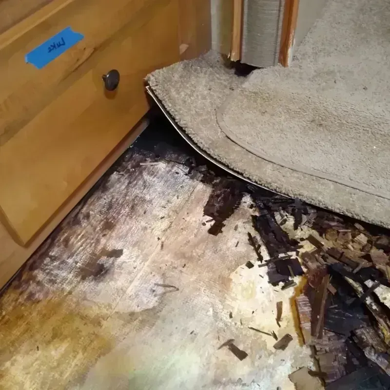 Wood Floor Water Damage in Highland Lakes, AL